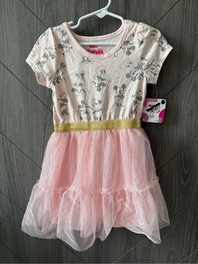 Disney Pink Tulle Dress with Gold Waistband and Minnie Print